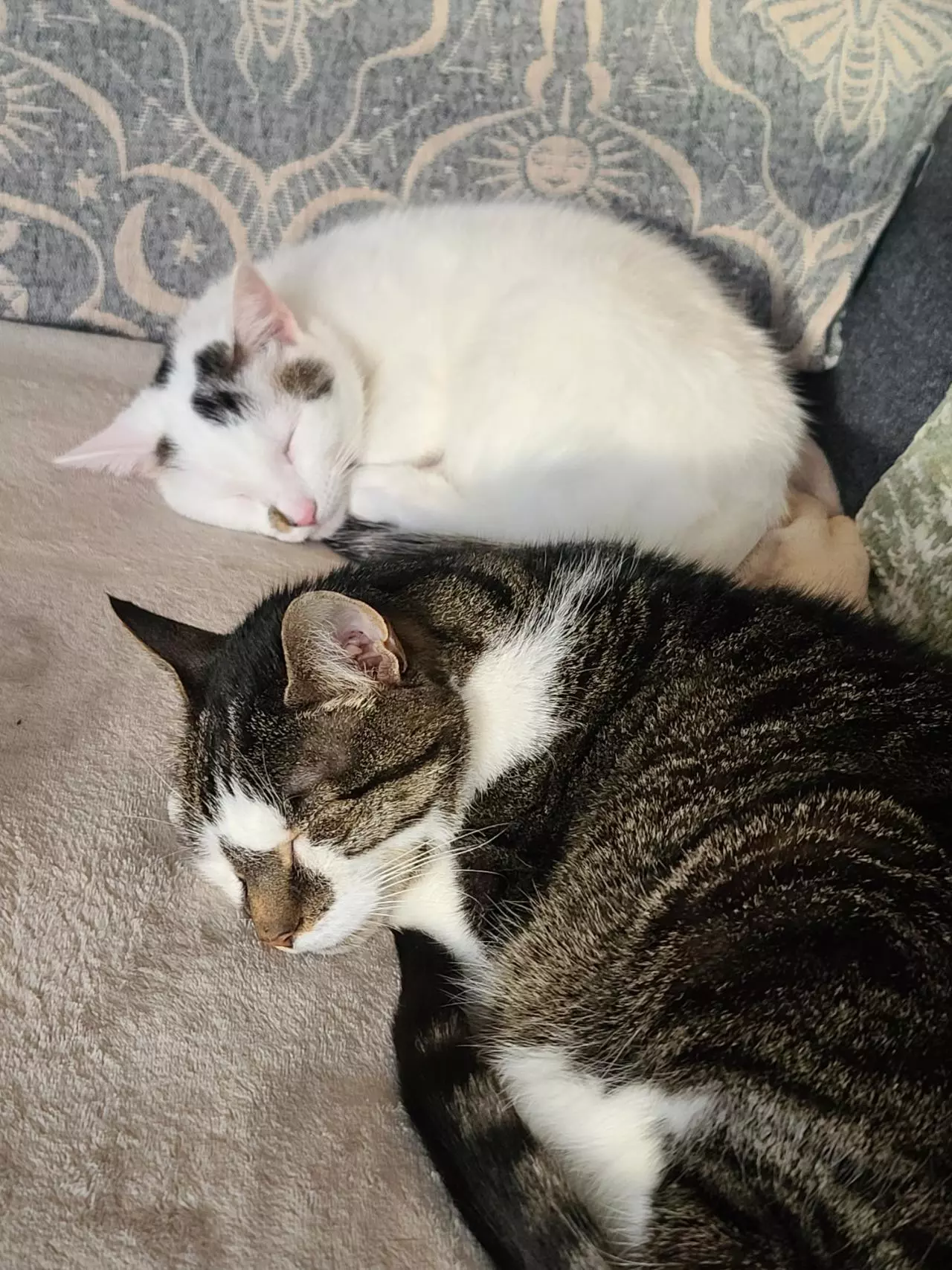 plant/HOLD ONE WEEK-0