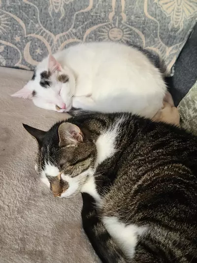 plant/HOLD ONE WEEK-0-thumbnail