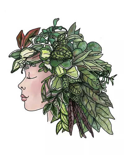 plant/Hoya Head 8x10 Giclee Print-0-thumbnail