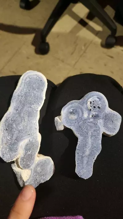 plant/Long blue coral slab-0-thumbnail