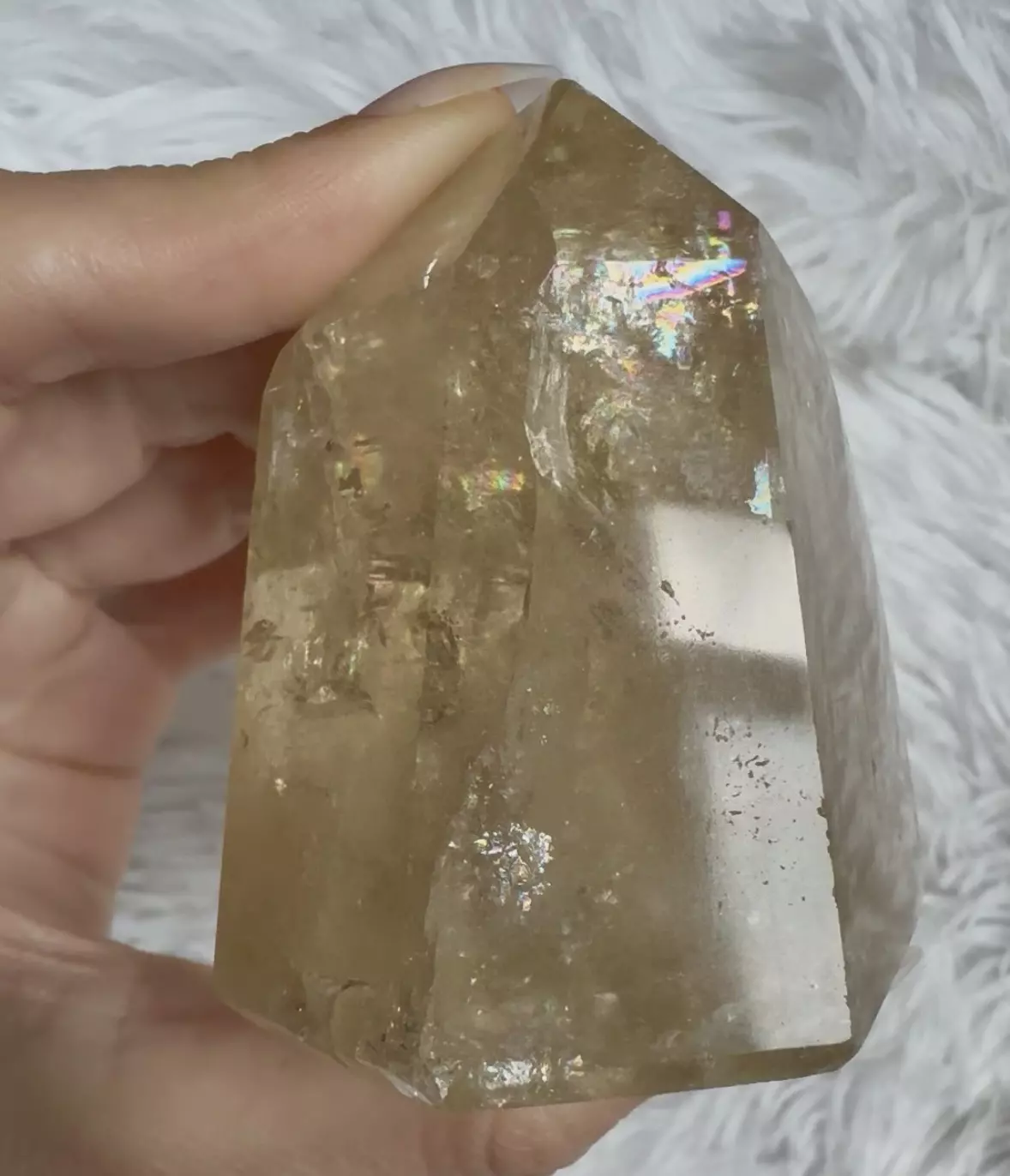 plant/Champagne citrine-0