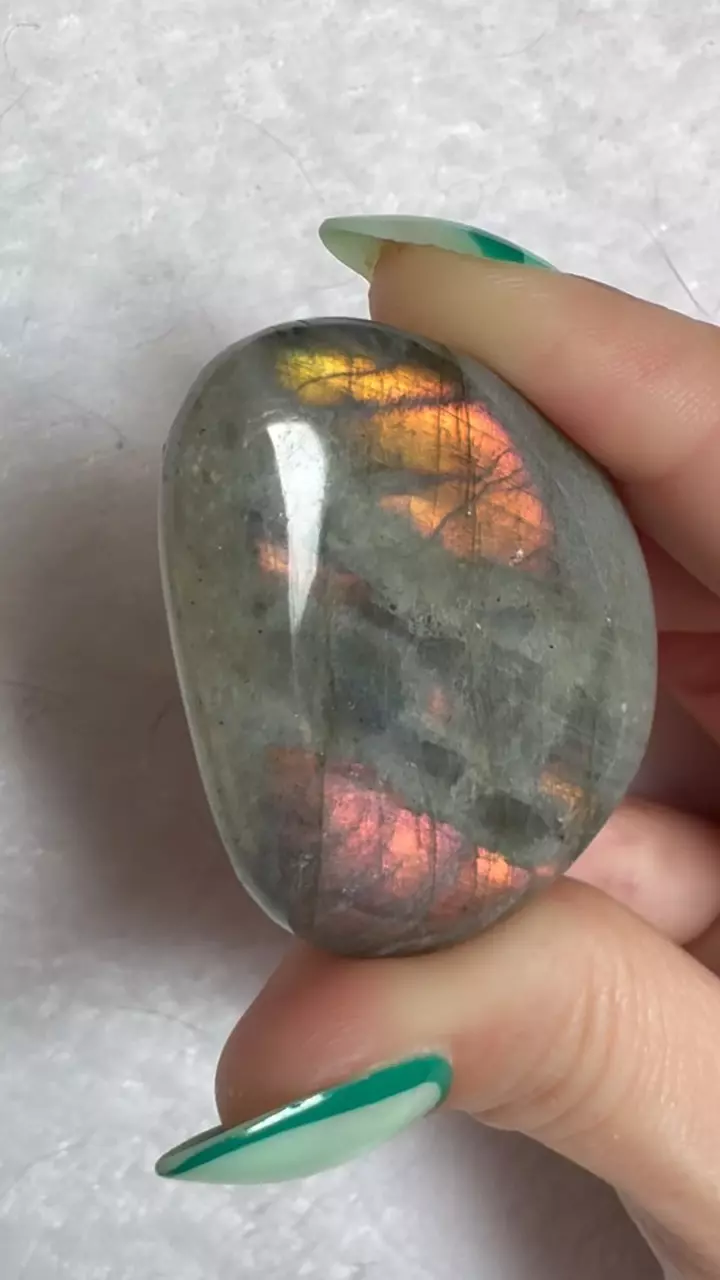 plant/1.75” small labradorite  palmstone-0