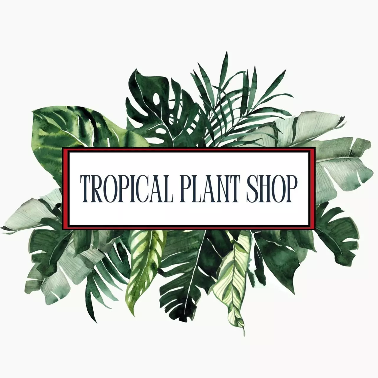 free_shipping/1 Week Delay Shipment-0