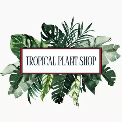 free_shipping/1 Week Delay Shipment-0-thumbnail