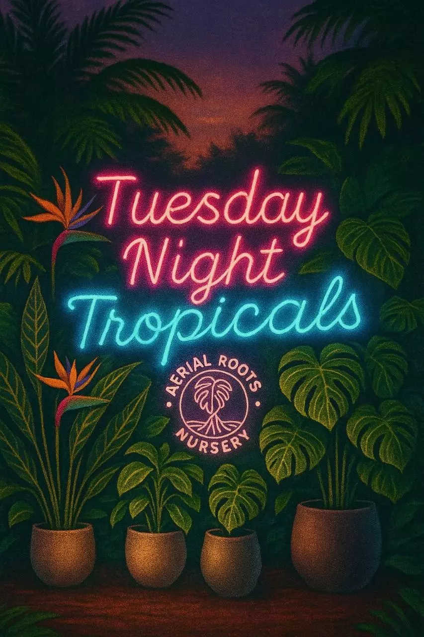 Tuesday Night Tropicals ✨️