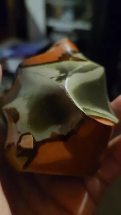 plant/Polychrome jasper flame-0-thumbnail