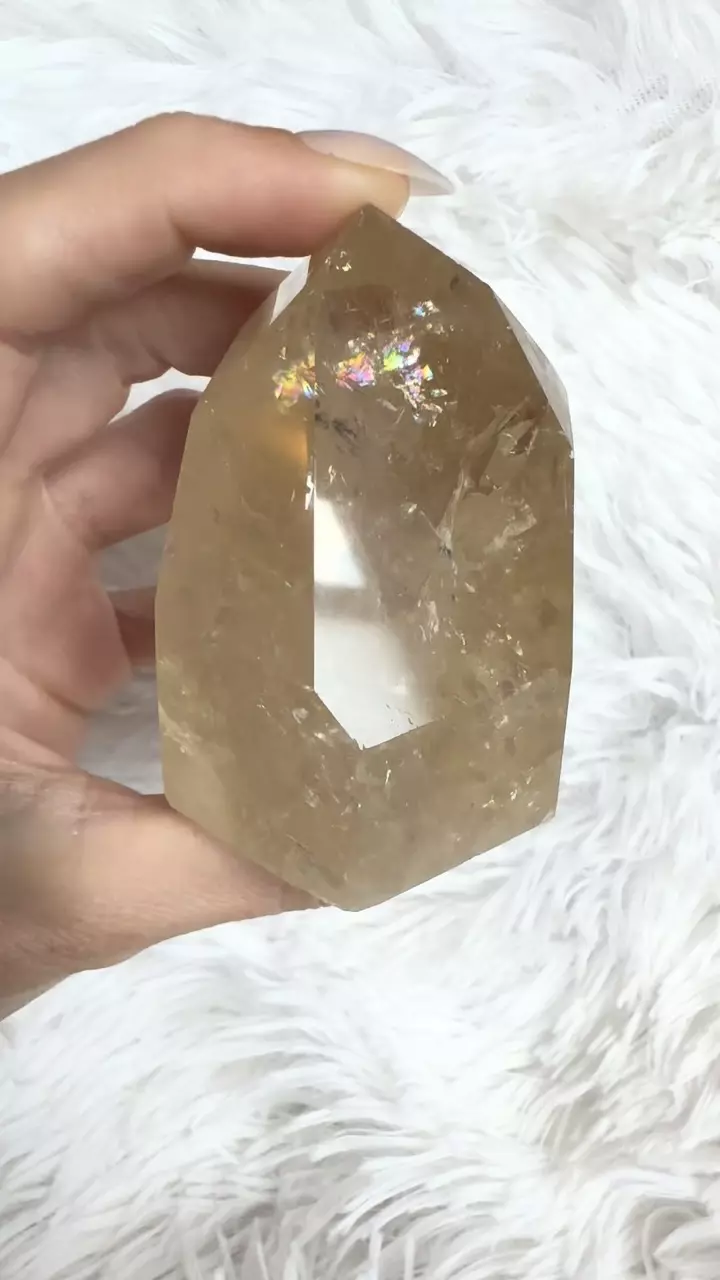 plant/Champagne citrine-1