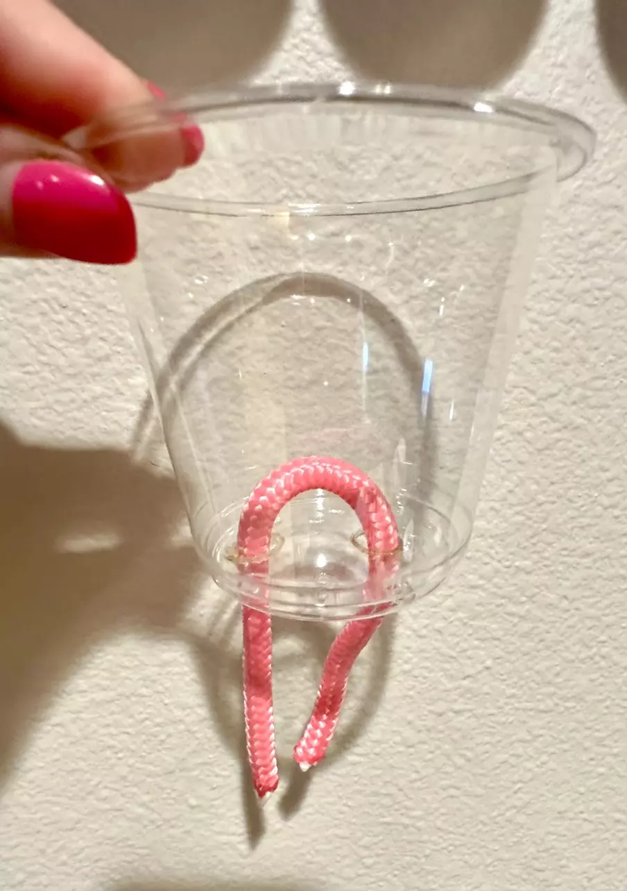 free_shipping/Iridescent Halo Cup - 12 oz-1