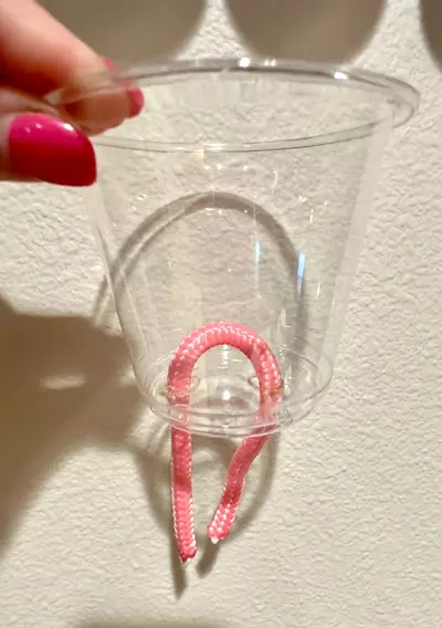 free_shipping/Iridescent Halo Cup - 12 oz-1-thumbnail