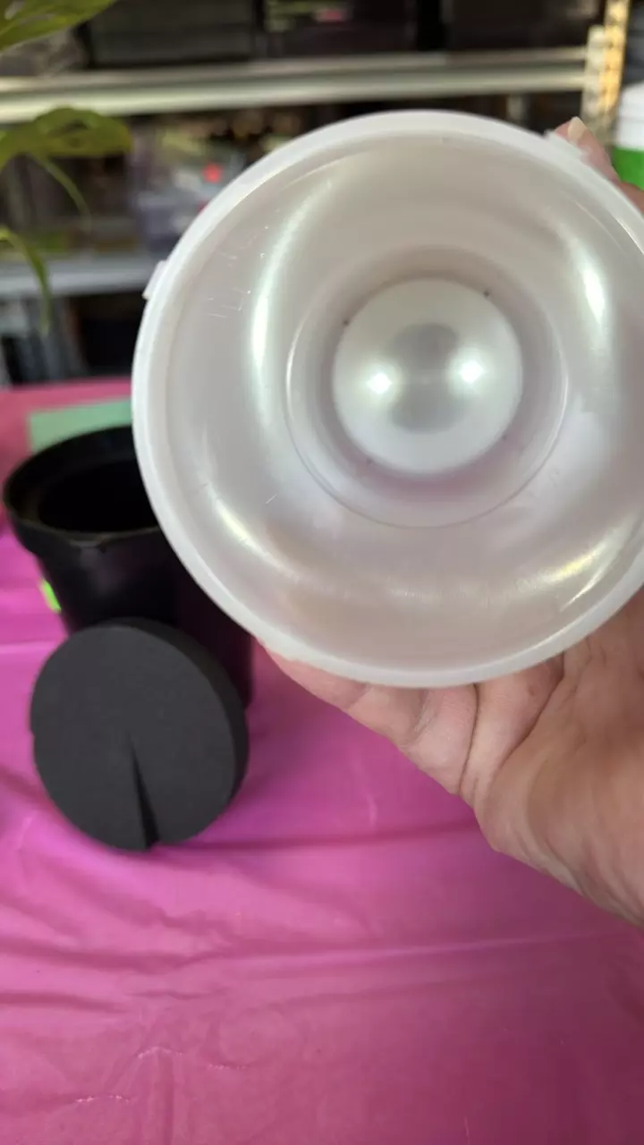 plant/Clone Shipper with light-2