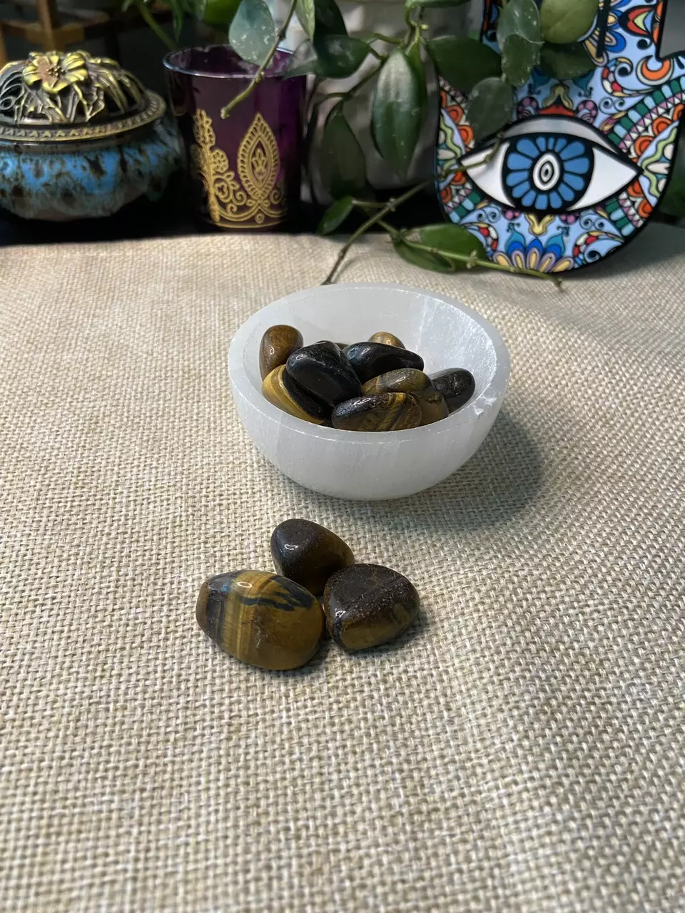plant/Tigers Eye Tumbled Polished-3