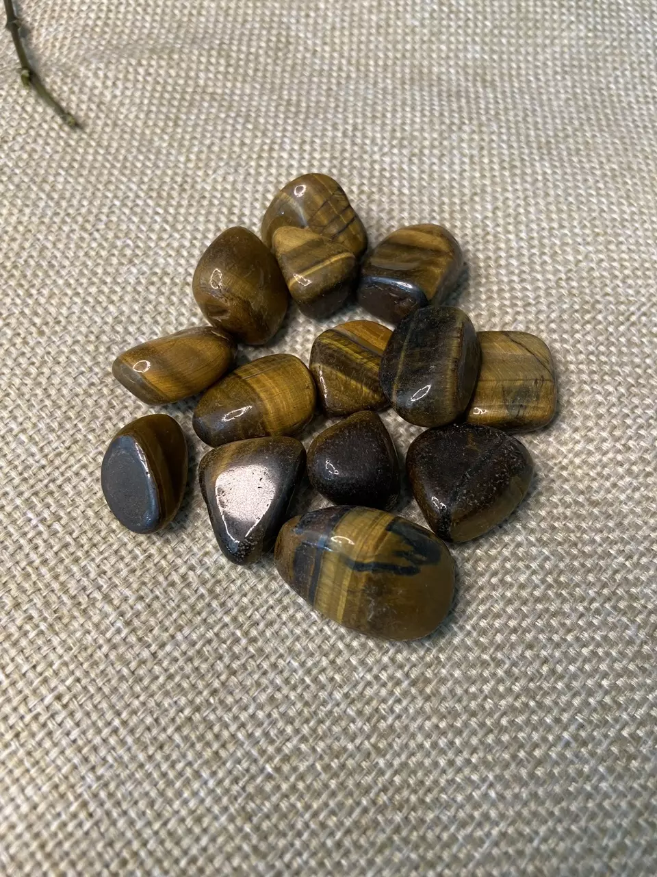 plant/Tigers Eye Tumbled Polished-0