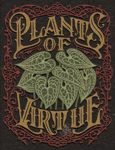 plant/Shipping Upgrade-0-thumbnail