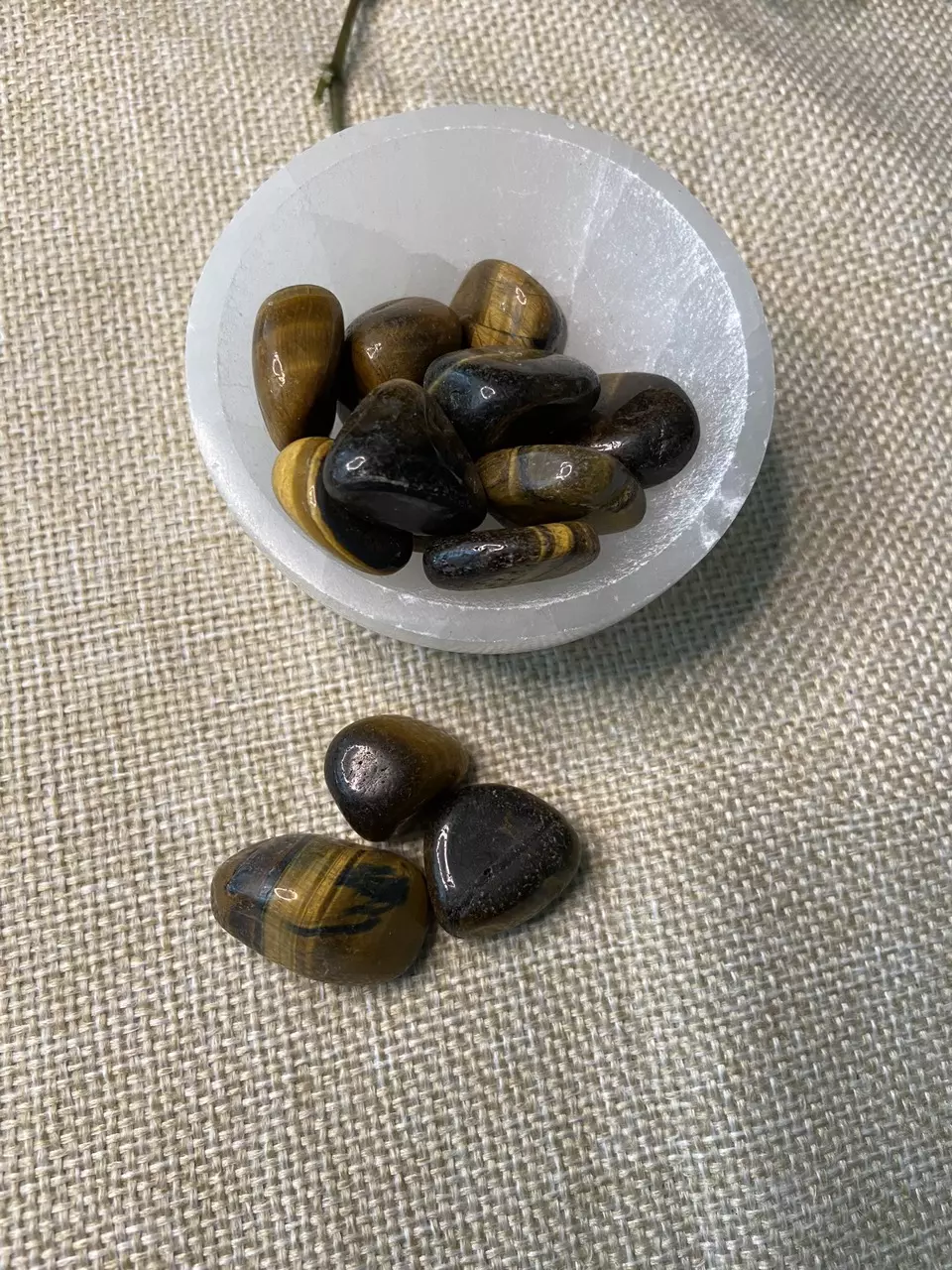 plant/Tigers Eye Tumbled Polished-1