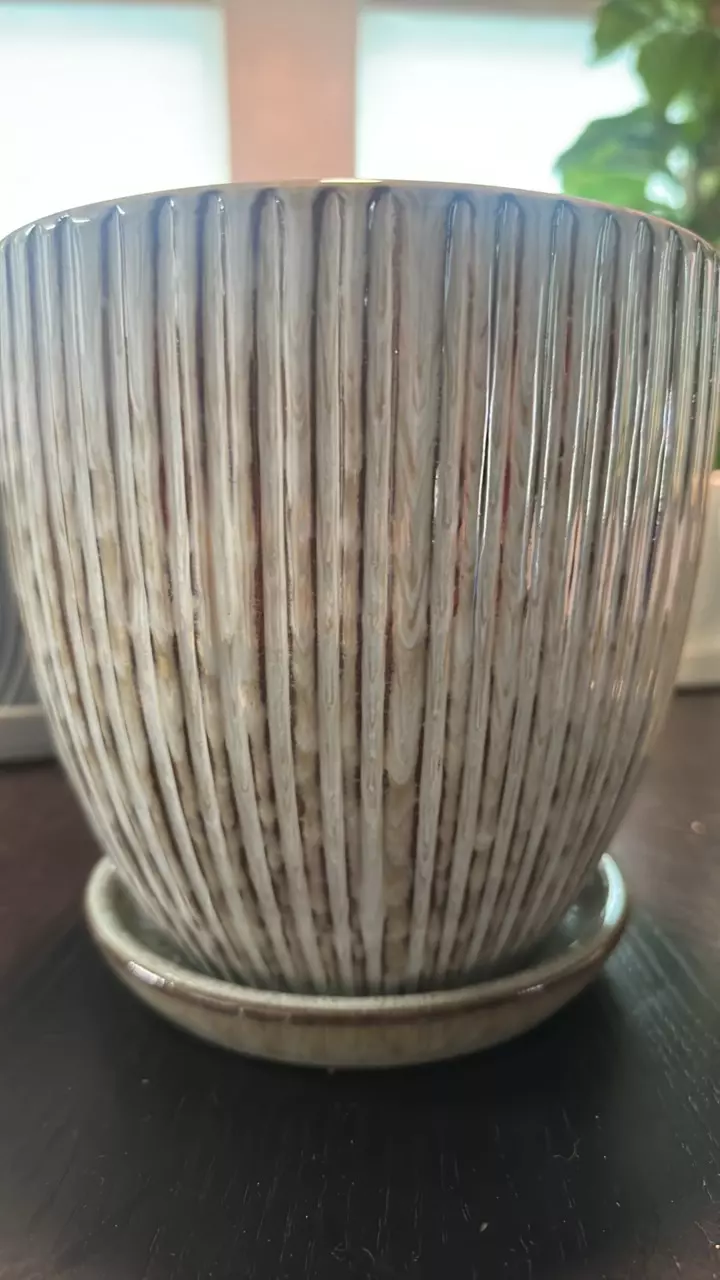 plant/#164 6" Greenish-Blue Textures Ceramic Pot-0