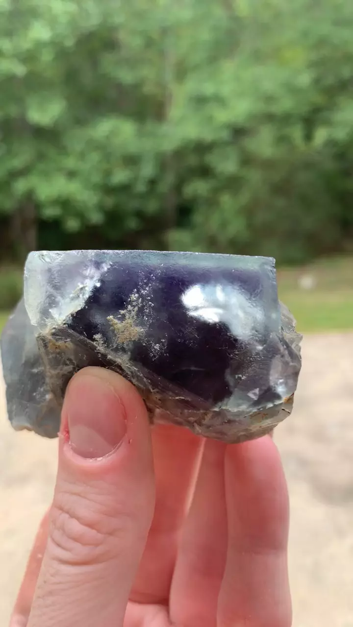 plant/Nigerian Fluorite #3-0