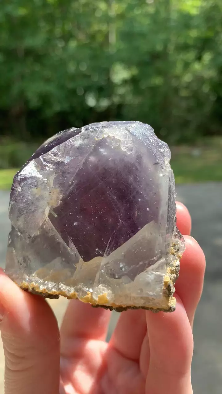 plant/Nigerian Fluorite #5-0