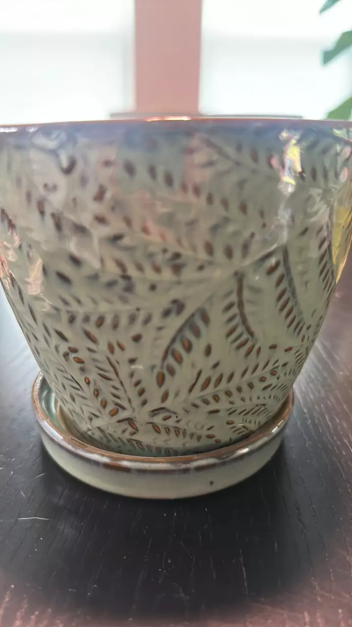 plant/#168 5" Light Green Patterned Ceramic Pot-0