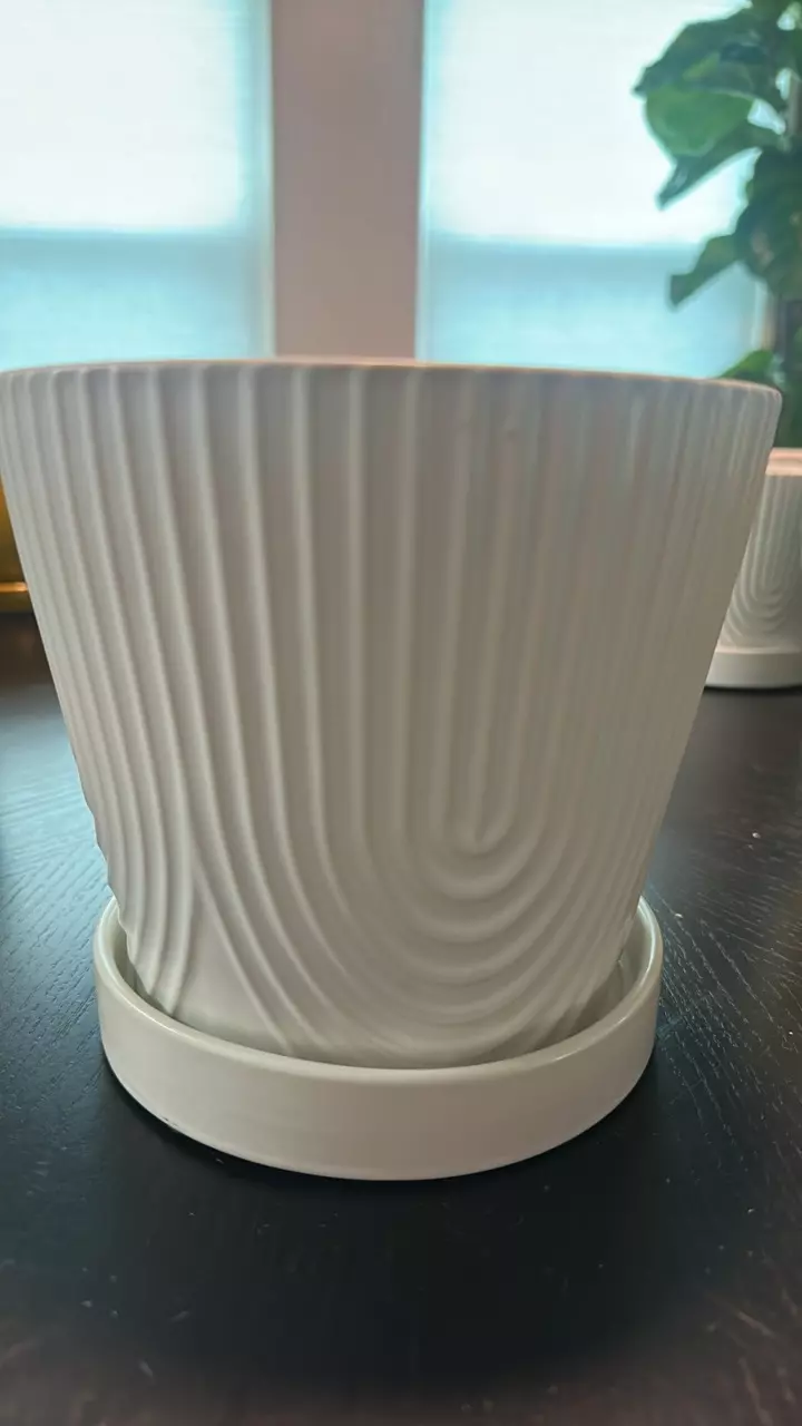 plant/#167 6" White Textured Ceramic Pot-0