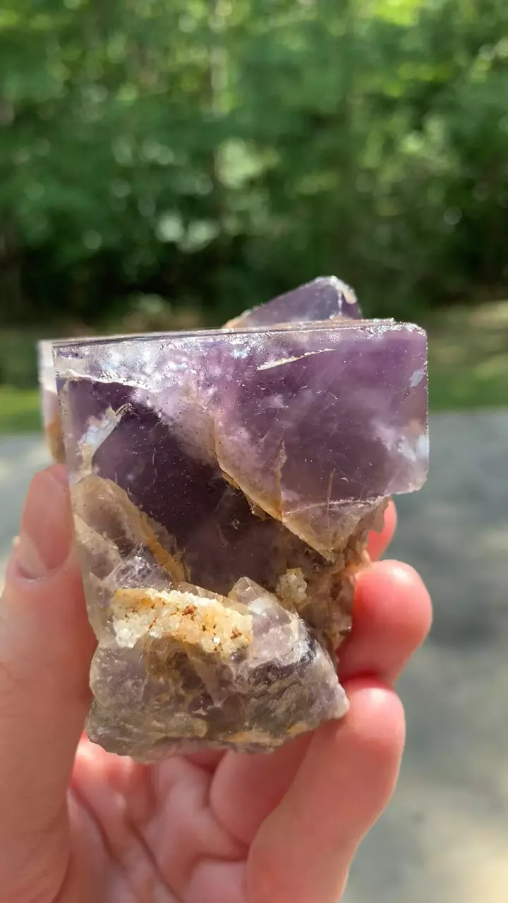 plant/Nigerian Fluorite #6-0