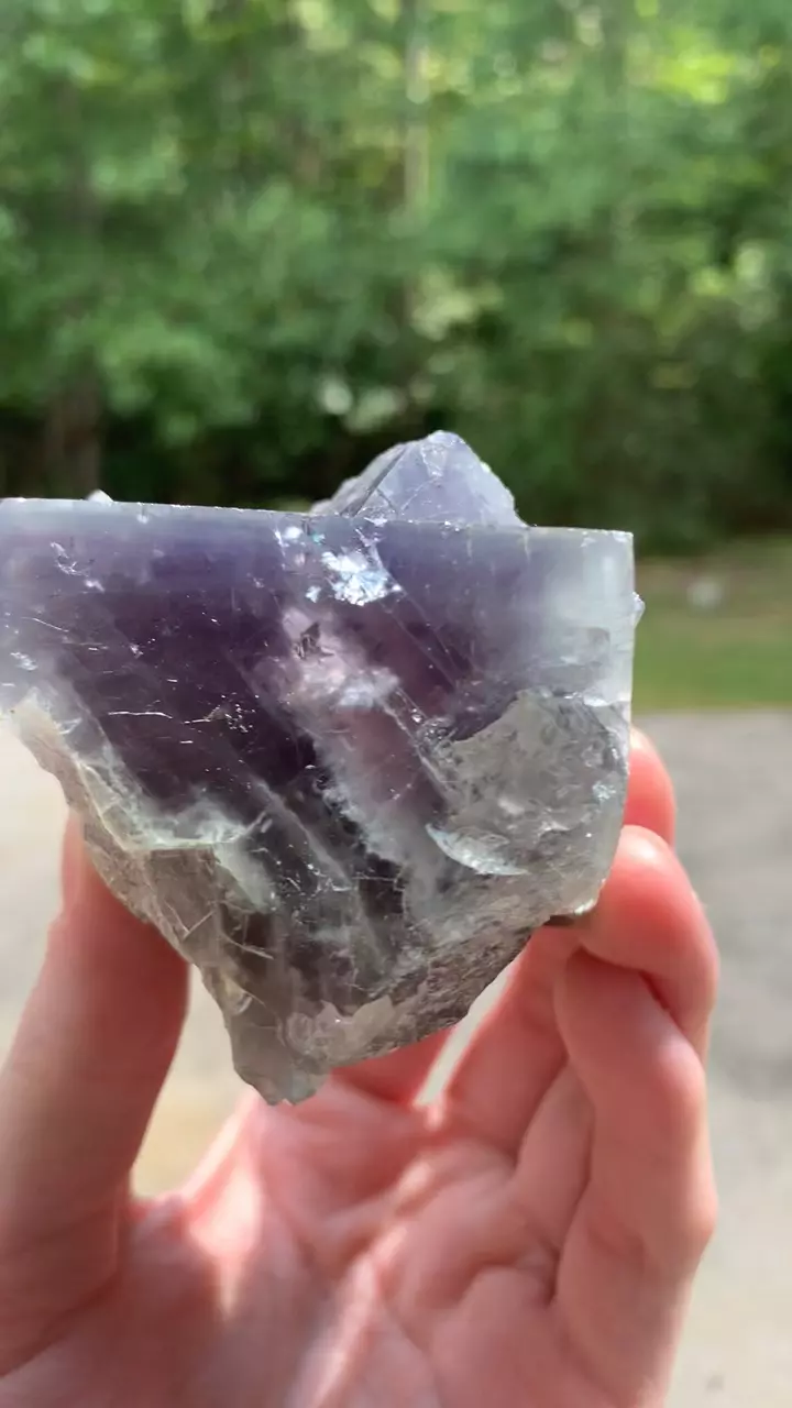 plant/Nigerian Fluorite #4-0