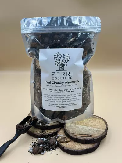 plant/Perri Chucky Aroid Mix-0-thumbnail