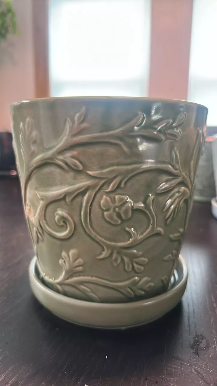 plant/#102 6" Green Floral Pot-0