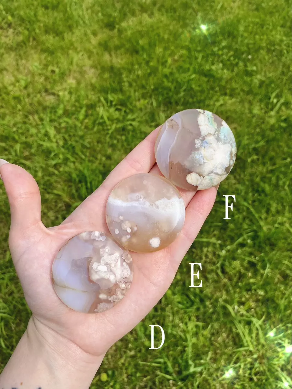 plant/Flower Agate Palm Stone / Plume Agate Cookie Shape / Madagascar-1