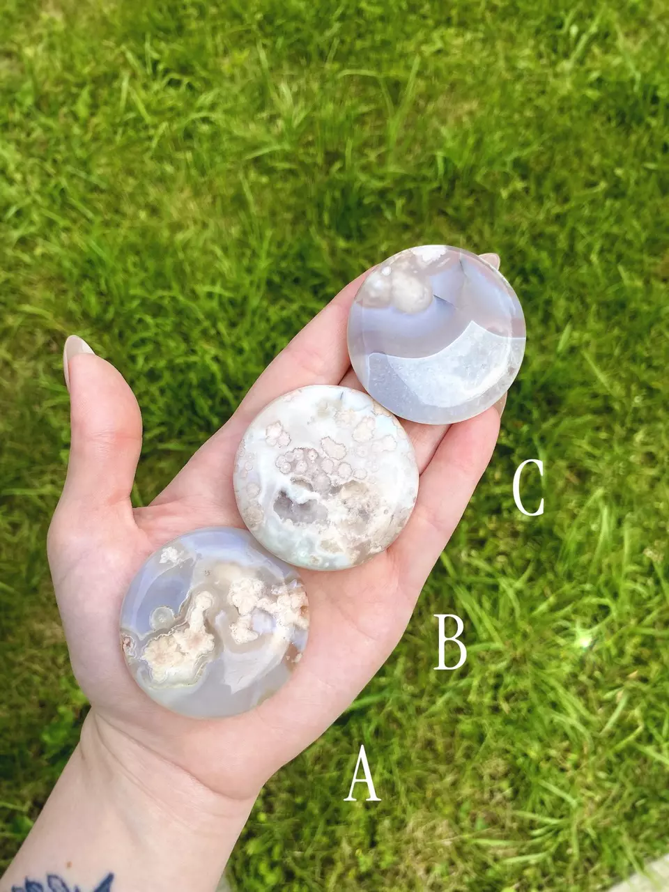 plant/Flower Agate Palm Stone / Plume Agate Cookie Shape / Madagascar-0