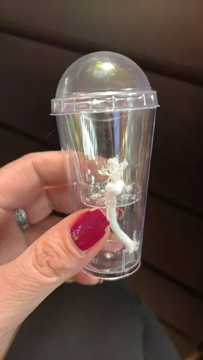 plant/1 Self watering pup/corm cup-0-thumbnail