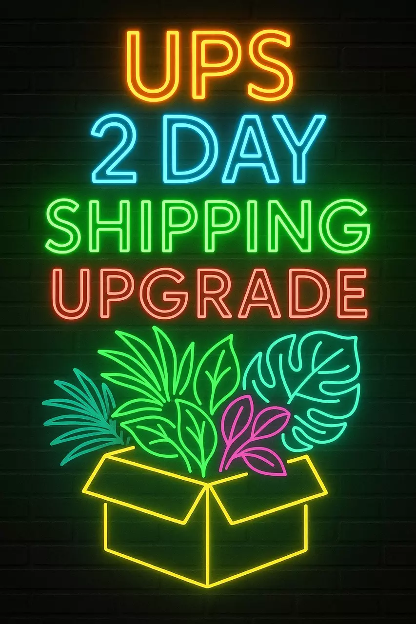 shipping_upgrade/UPS 2 DAY SHIPPING UPGRADE-0