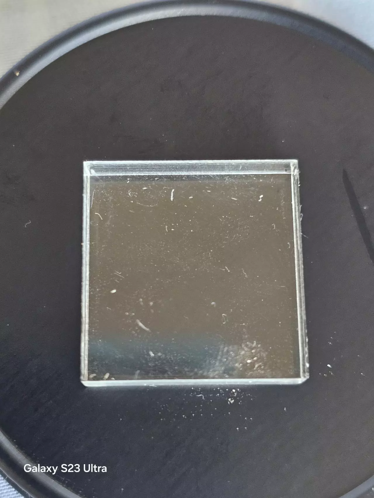 plant/Mounting specimen square-0