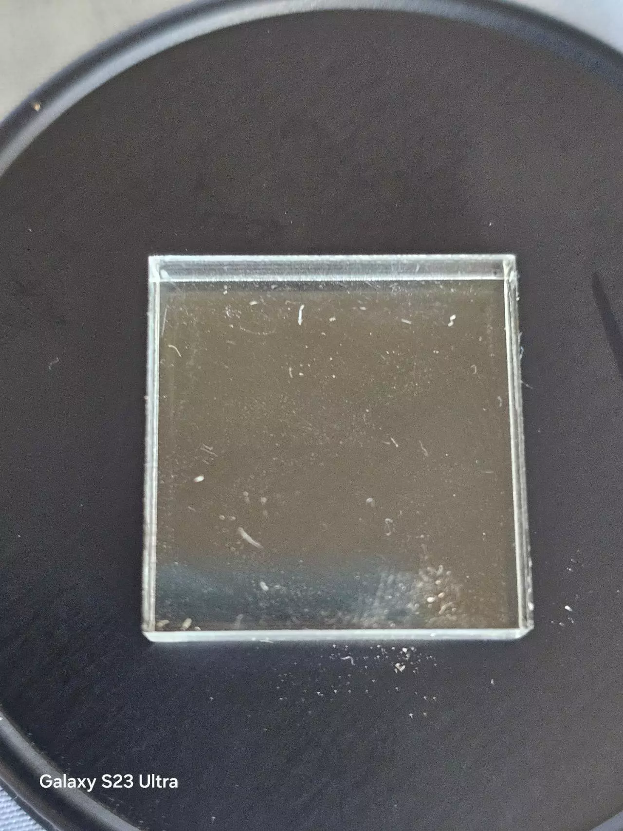 plant/Mounting specimen square-1