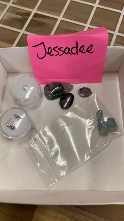 plant/Jessadee Bundle-0-thumbnail