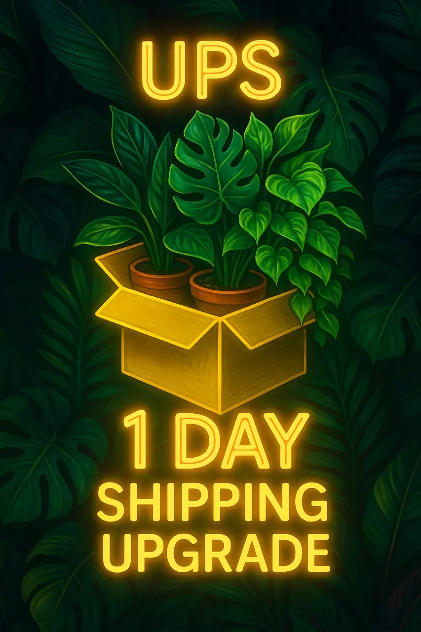 shipping_upgrade/UPS 1 DAY SHIPPING UPGRADE-0
