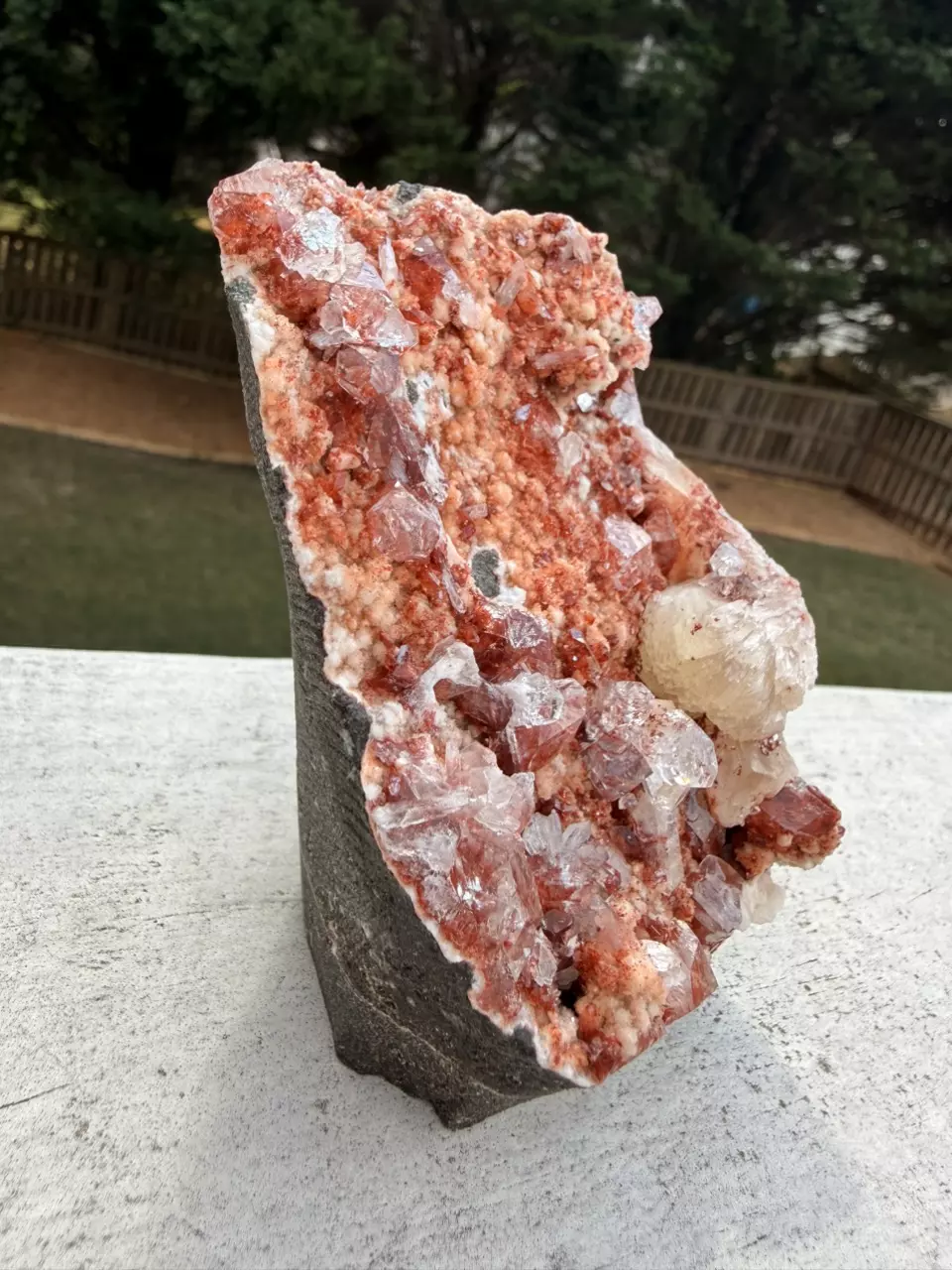 plant/Red Apophyllite with Stilbite on Chalcedony – India – Hematite Inclusions – 5”-1