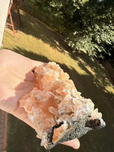 plant/Large Peach Stilbite Cluster – Jalgaon, India – 6.5”-3-thumbnail
