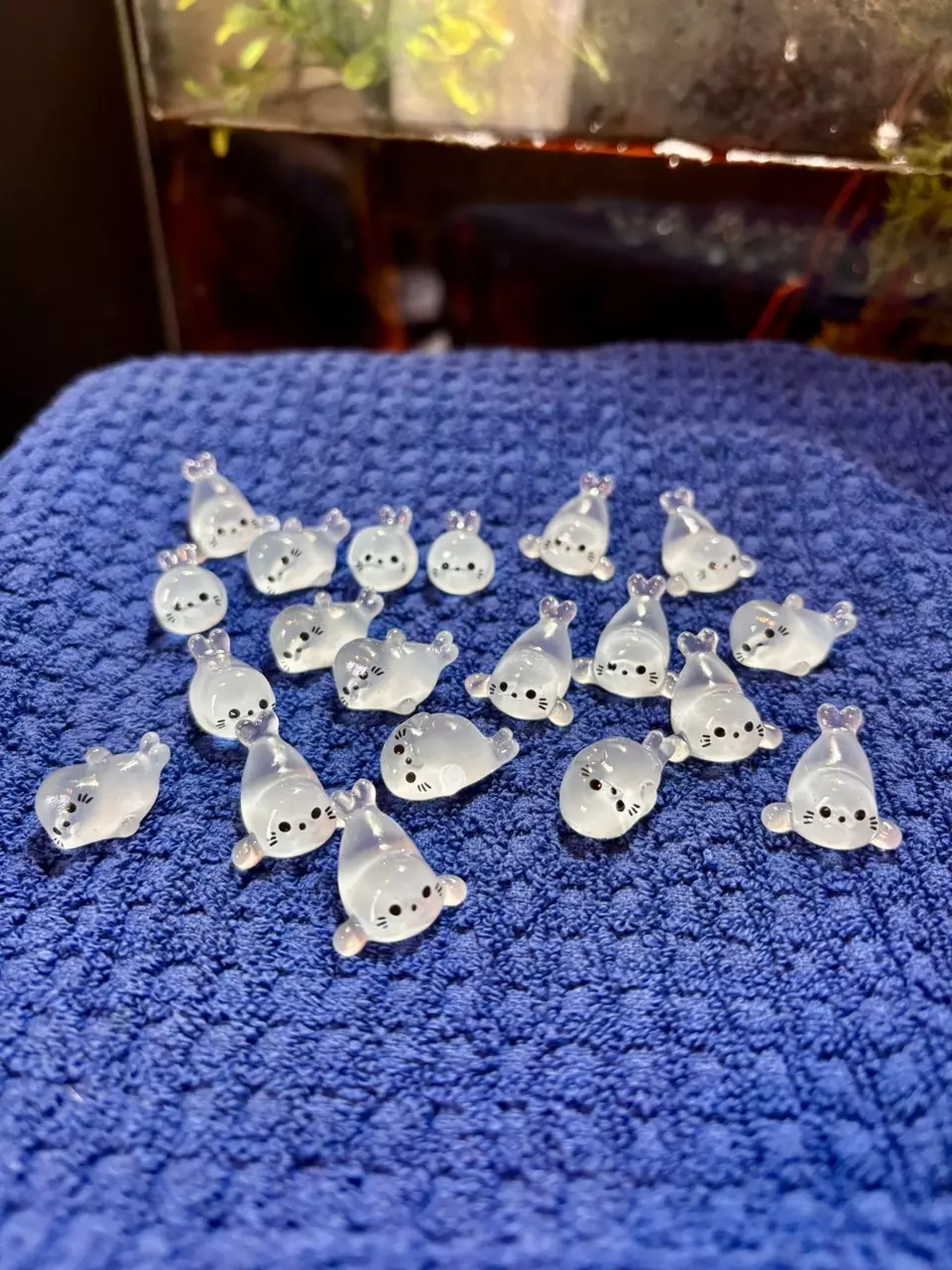 plant/2 pcs Seals-0