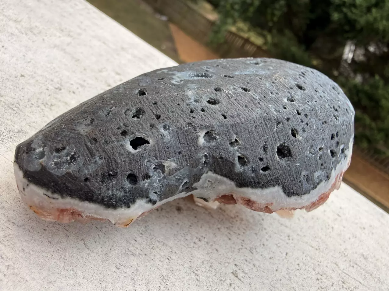 plant/Peach Stilbite with Red Heulandite on Basalt – India – 5” Collector Specimen-3