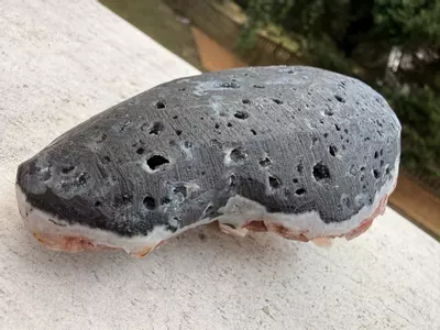 plant/Peach Stilbite with Red Heulandite on Basalt – India – 5” Collector Specimen-3-thumbnail