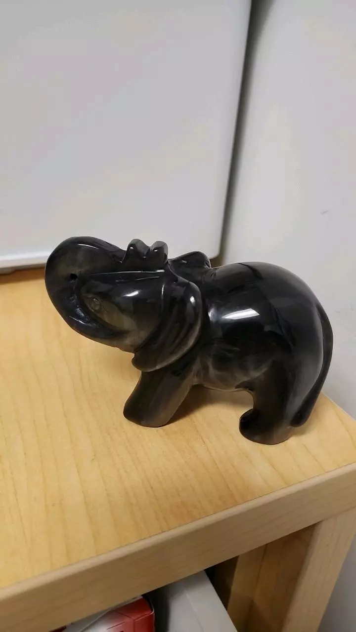 plant/Silver sheen obsidian Elephant-0