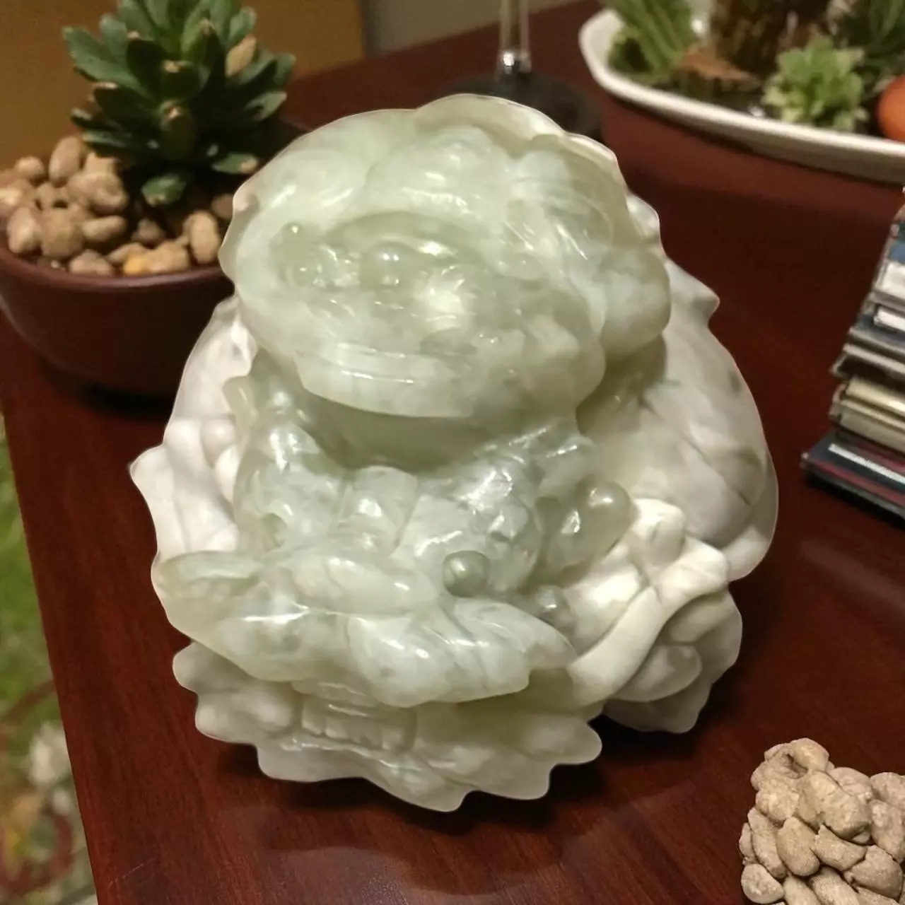 plant/Jade dragon turtle-0