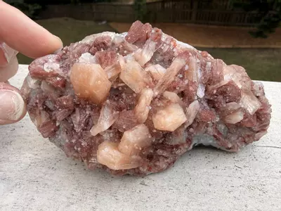 plant/Peach Stilbite with Red Heulandite on Basalt – India – 5” Collector Specimen-0-thumbnail