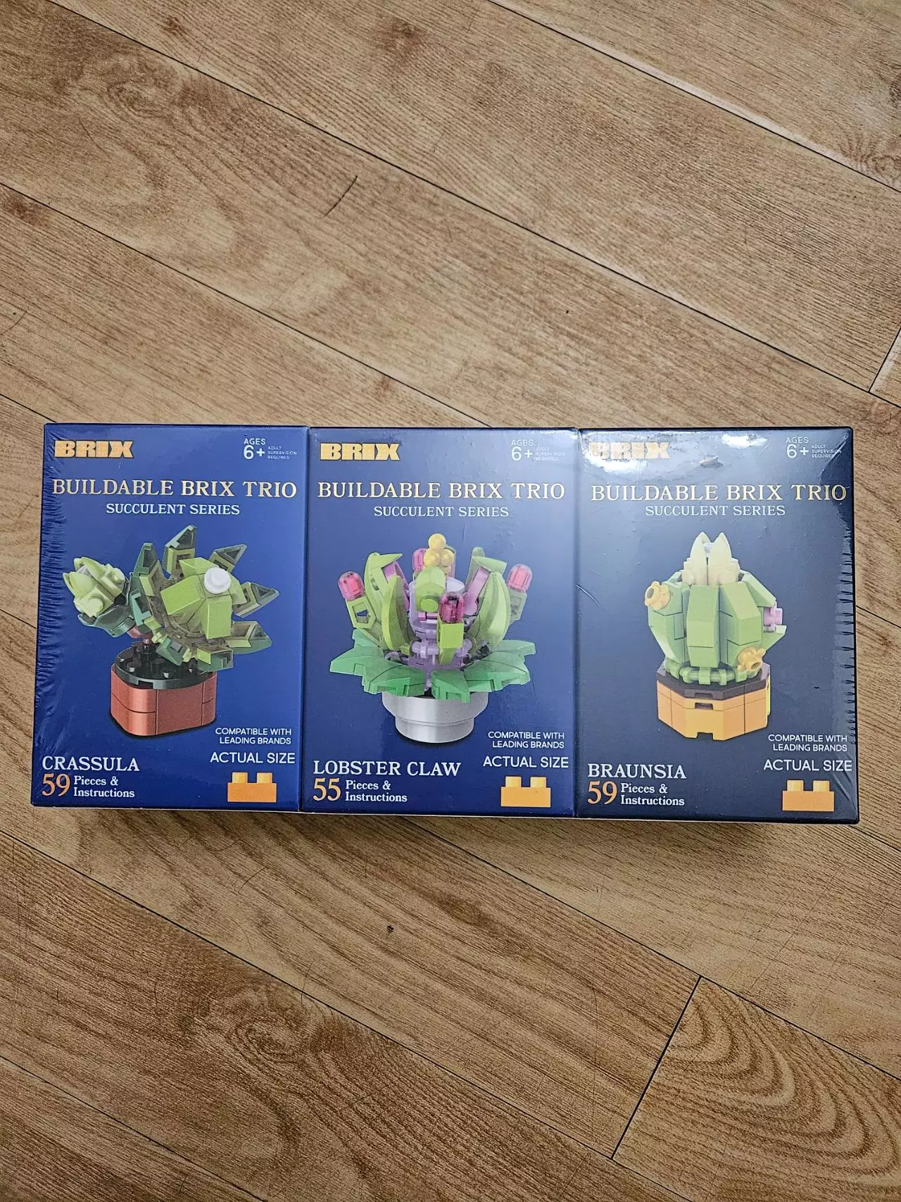 plant/Succulent/cactus brick set (3 pack)-0
