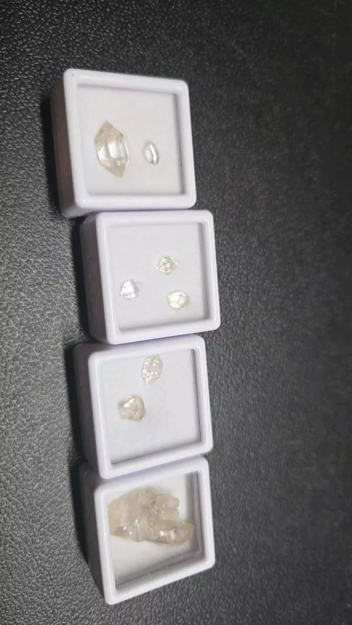 plant/Herkermor diamond-0