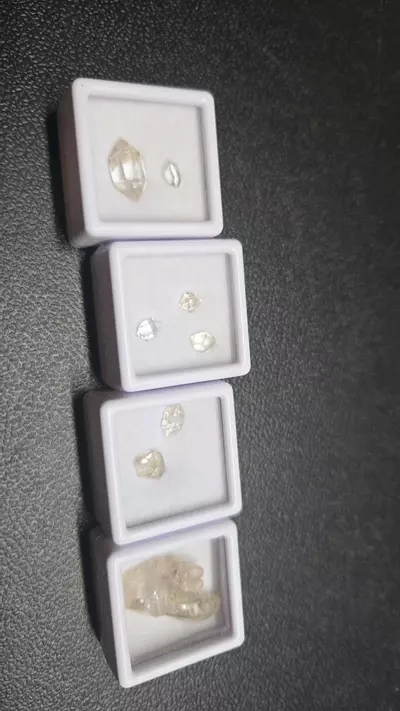 plant/Herkermor diamond-0-thumbnail