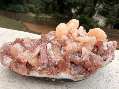 plant/Peach Stilbite with Red Heulandite on Basalt – India – 5” Collector Specimen-2-thumbnail