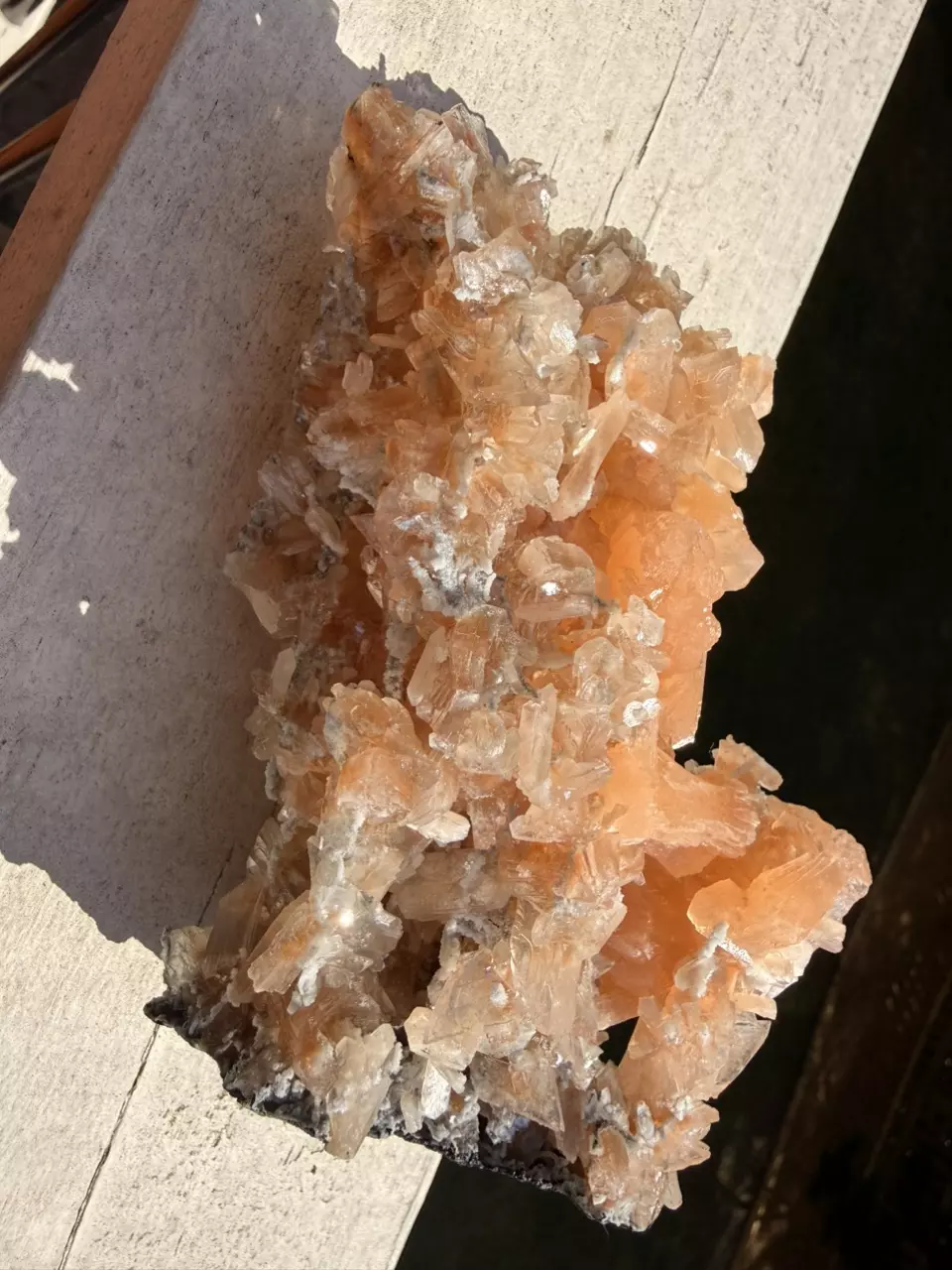 plant/Large Peach Stilbite Cluster – Jalgaon, India – 6.5”-1