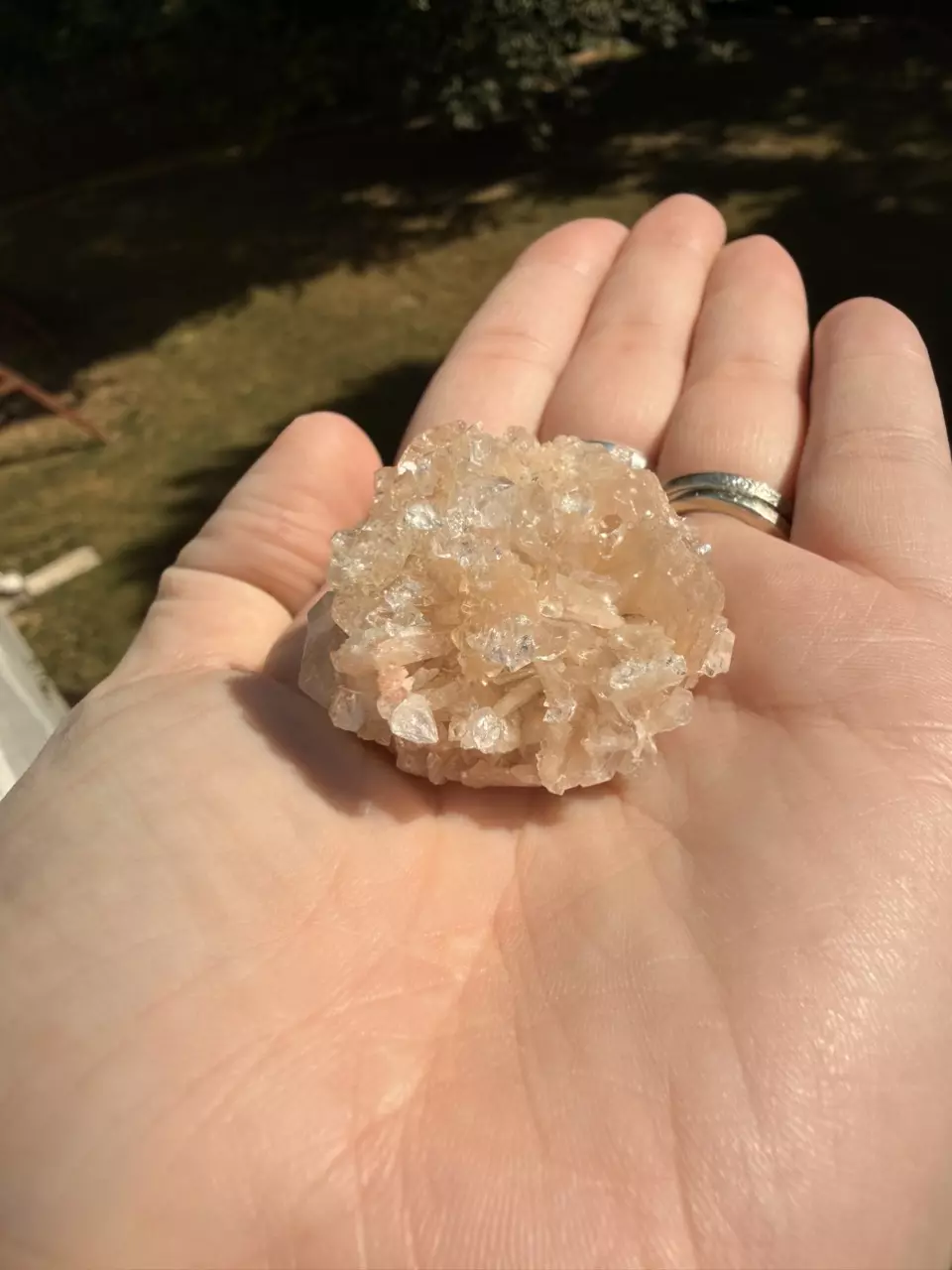 plant/Peach Apophyllite Cluster – Jalgaon, India-1