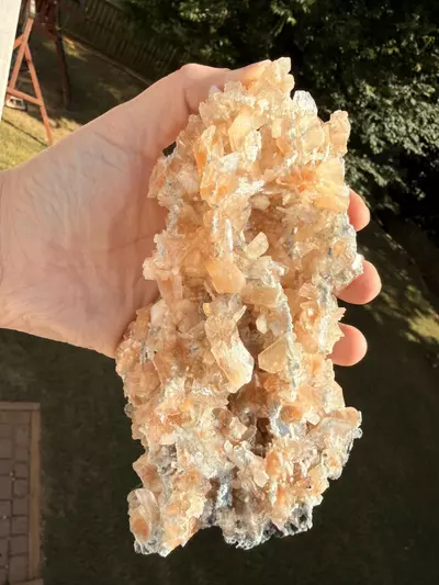 plant/Large Peach Stilbite Cluster – Jalgaon, India – 6.5”-2-thumbnail